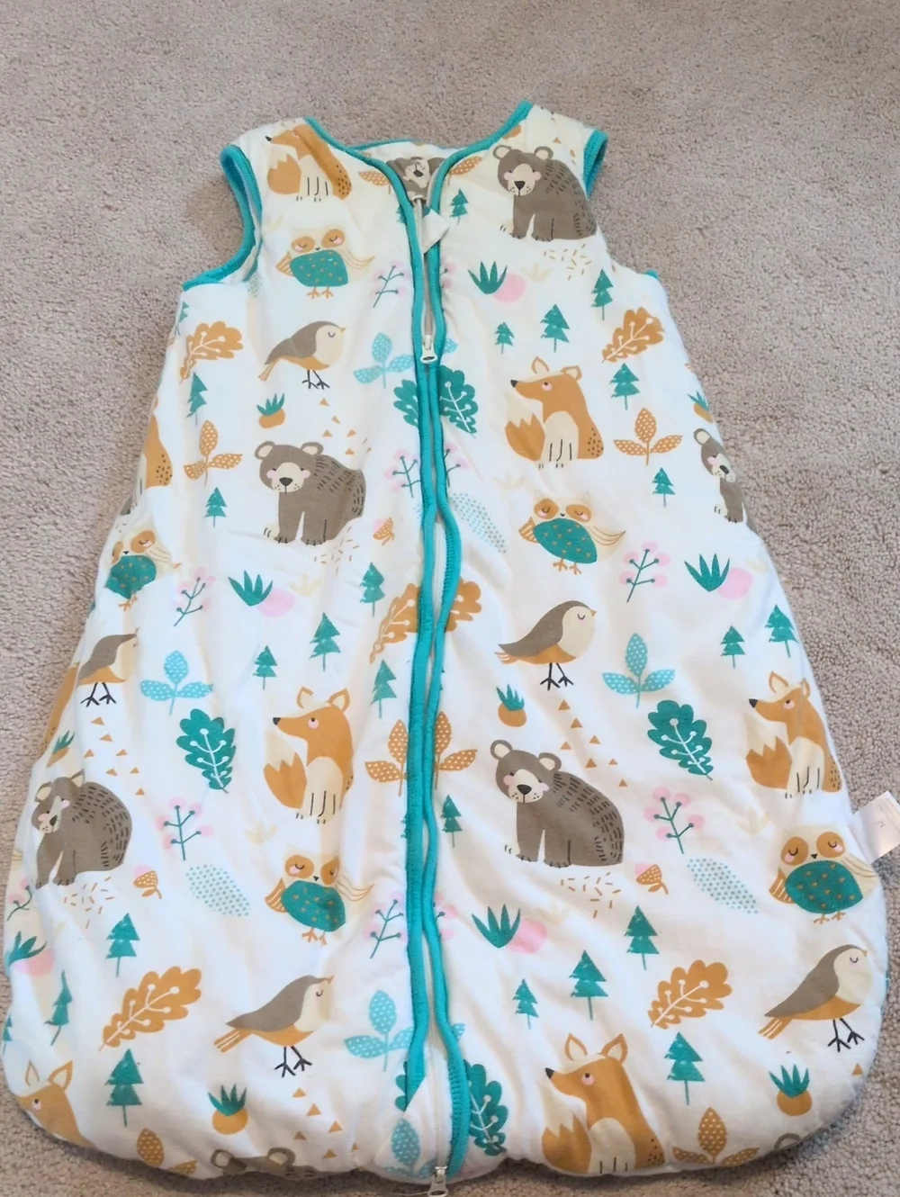 Cozy Forest Friends Kids Sleep Sack - Teal Trim (Size M)